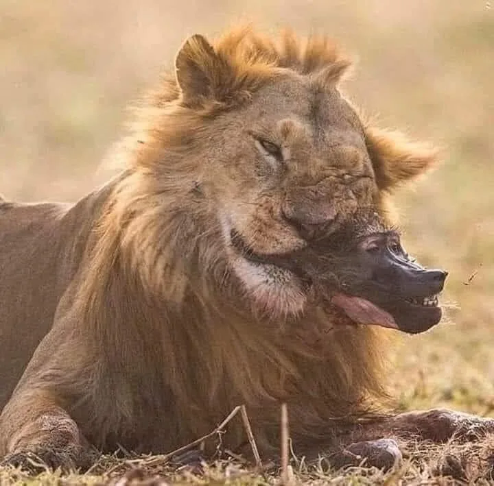 Tsavo East National Park in Kenya