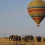 Read more about the article Hot Air Balloon Safaris in Kenya: Thrilling Wildlife Adventure