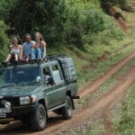 Read more about the article Top Best National Parks in Kenya