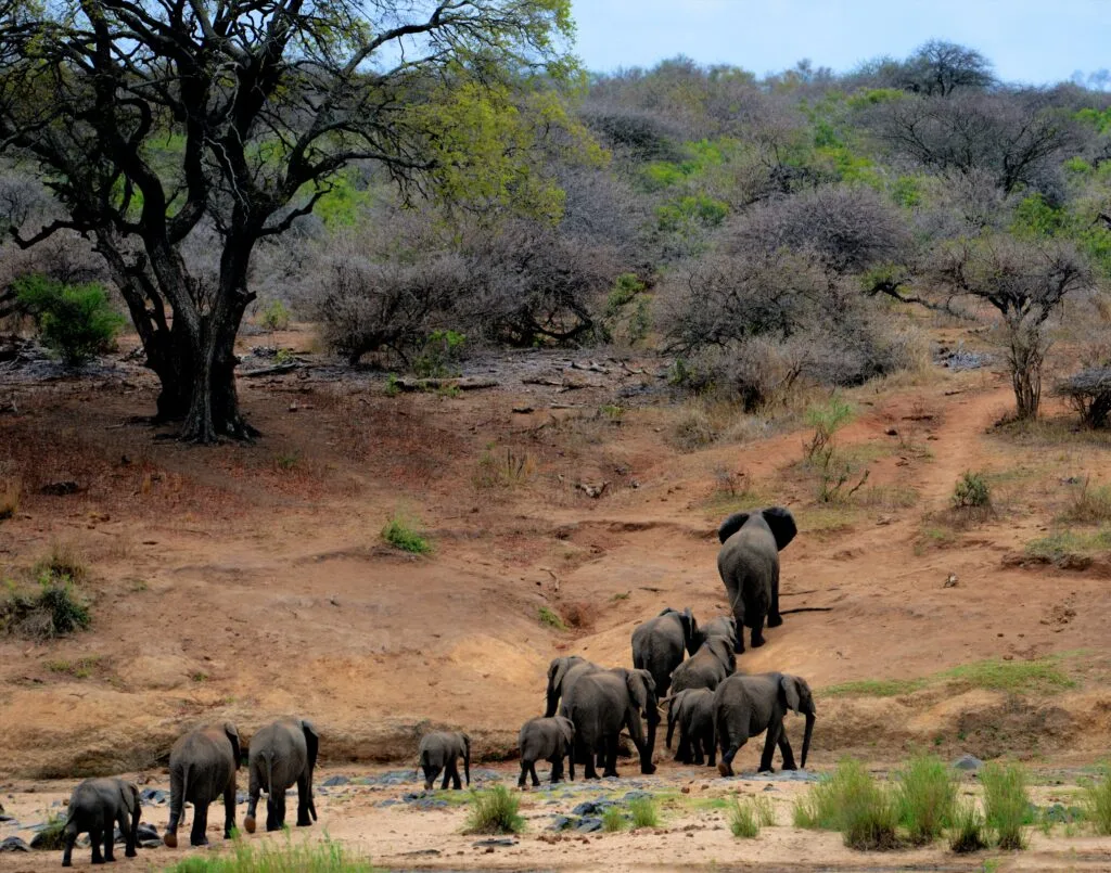 Tsavo East National Park in Kenya