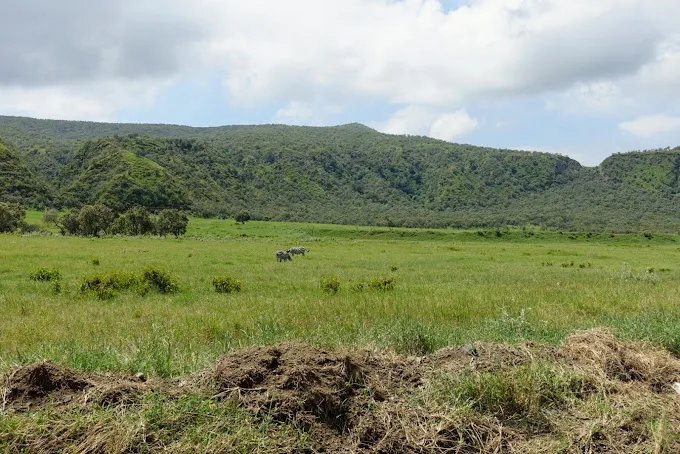Game Reserves in Kenya