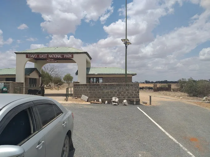 Read more about the article Tsavo East National Park in Kenya: Untamed Wilderness