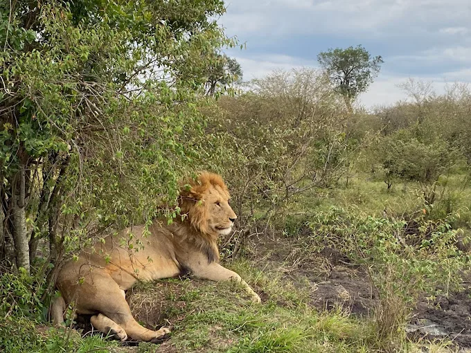 Tsavo East National Park in Kenya
