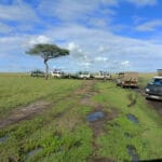 Read more about the article The Ulitame Guide to Maasai Mara National Reserve