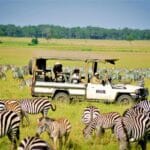 Read more about the article Kenya Safari Secrets They Don’t Want You to Know
