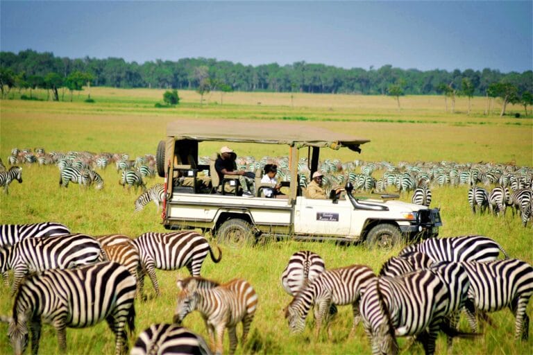 Read more about the article Kenya Safari Secrets They Don’t Want You to Know