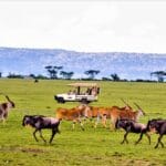 Read more about the article Luxury Camps in Masai Mara: A Dream Safari Experience