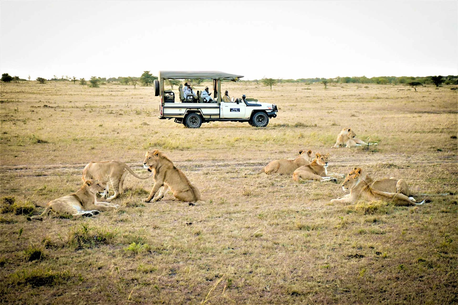Maasai Mara Photos