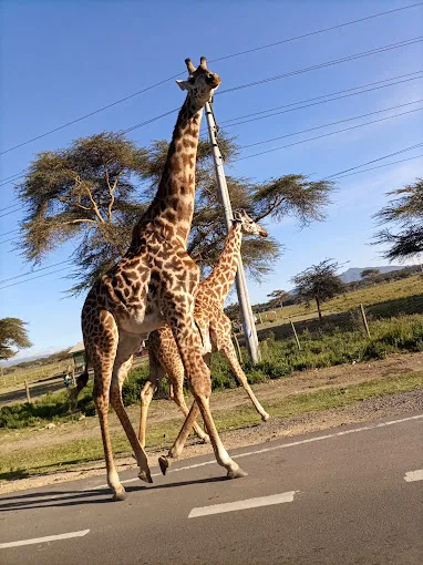 You are currently viewing Hiking Trails in Kenya: An Adventurer’s Guide to the Best Routes