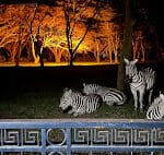 Read more about the article Simba Lodge Lake Naivasha: Your Gateway to Kenya’s Wonders