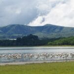Read more about the article Kenya Lake Naivasha: Ultimate Guide to Wildlife and Adventures