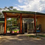 Read more about the article Nature & Wildlife Tours in Lake Nakuru National Park
