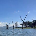 Read more about the article Captivating Lake Naivasha Kenya: A Hidden Gem Unveiled