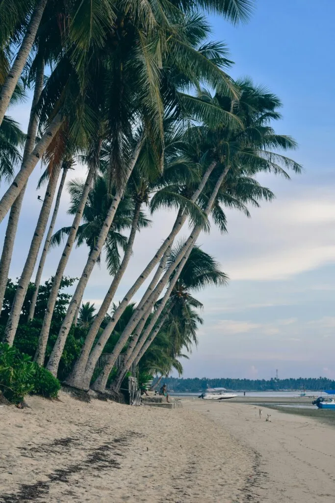 Diani