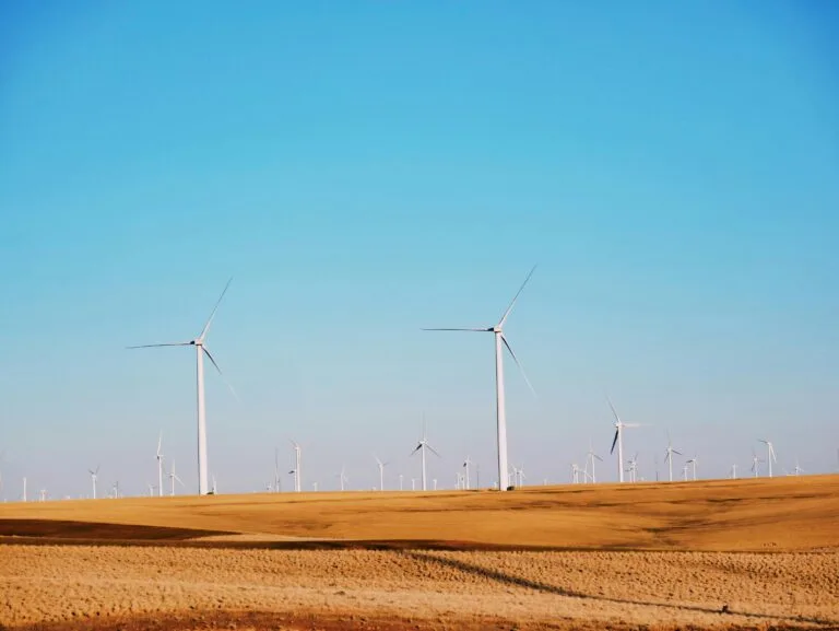 Read more about the article Harnessing the Winds: A Comprehensive Guide to Lake Turkana Wind Power