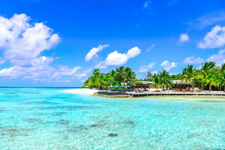 Read more about the article Experience the Alluring Beauty of Mombasa Beach: Your Ultimate Guide