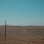 Read more about the article Discover the Fascinating Turkana Basin: A Journey into Kenya’s Desert Lake