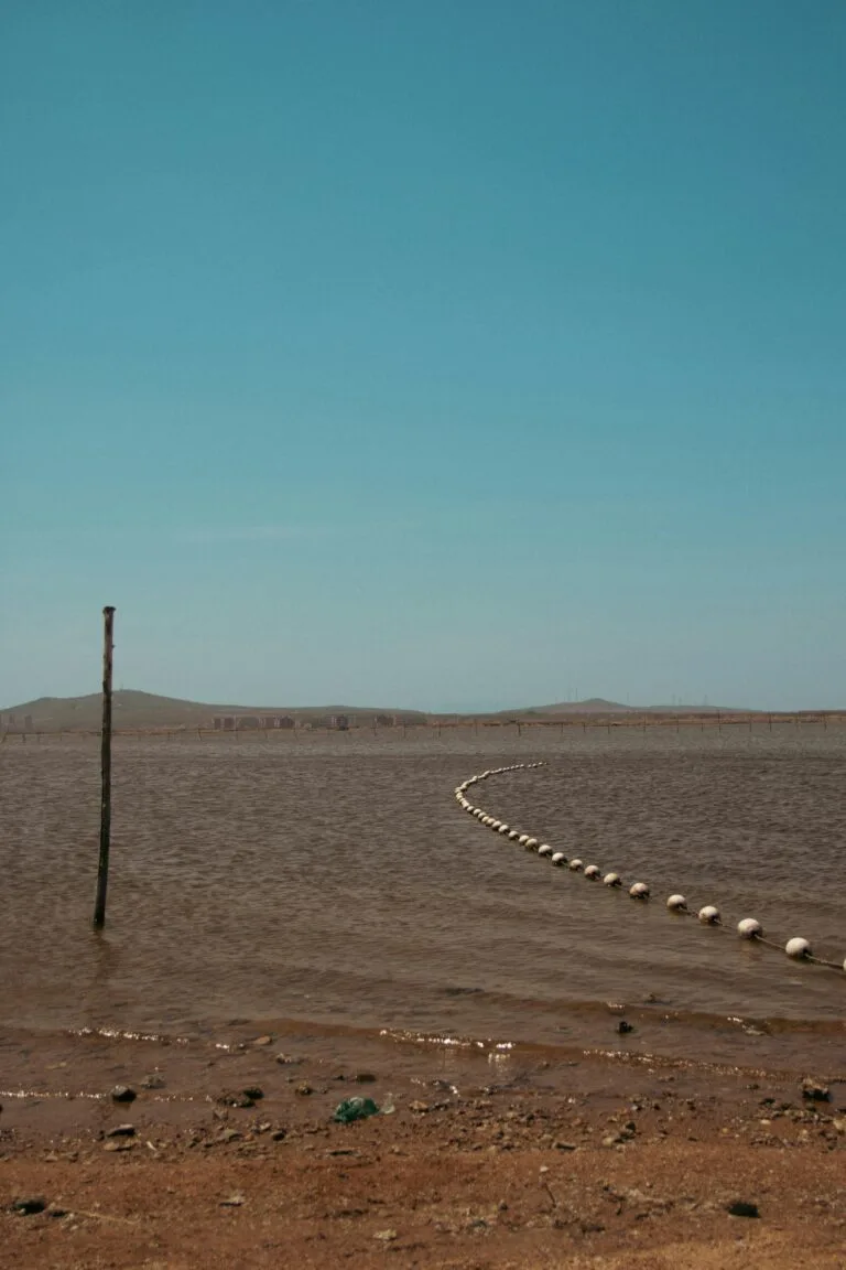 Read more about the article Discover the Fascinating Turkana Basin: A Journey into Kenya’s Desert Lake