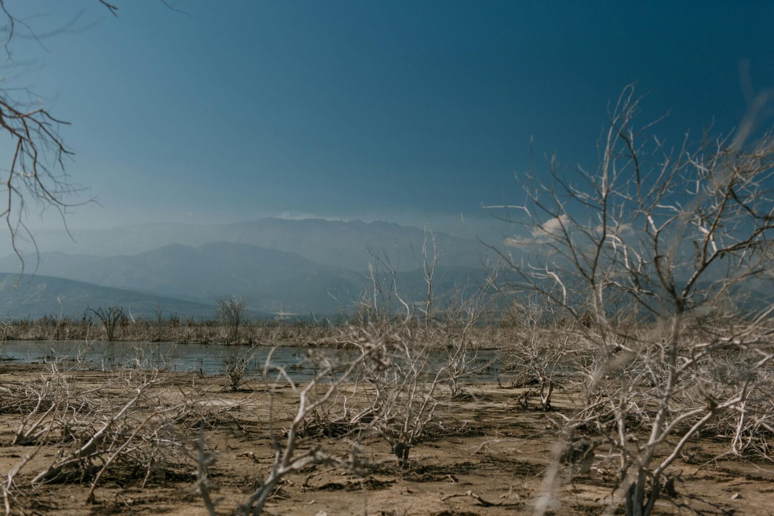 Harnessing The Winds: A Comprehensive Guide To Lake Turkana Wind Power