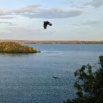 Read more about the article The Top 7 Best Lakes Worth Visiting In Kenya