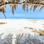 Read more about the article Exploring Kenya’s Coast: Your Guide to the Best Beaches