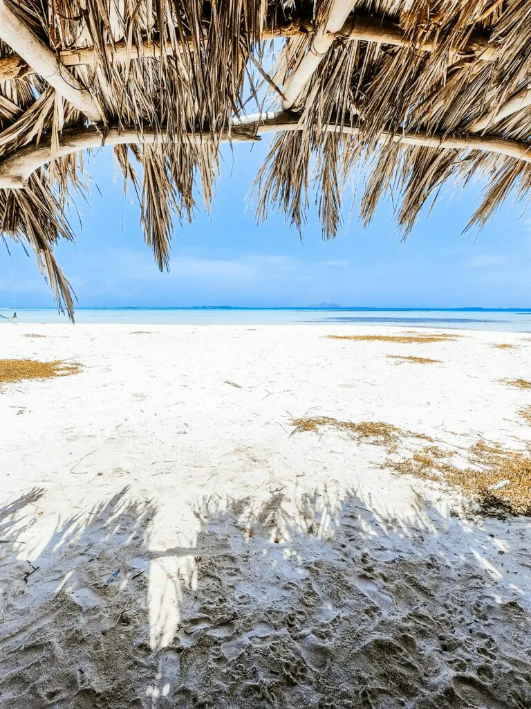 Beaches of Kenya