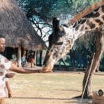 Read more about the article 10 Unbelievable Facts: Sustainable Tourism in Kenya