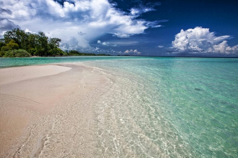 Read more about the article Diani Beach: Kenya’s Top Beach Destination