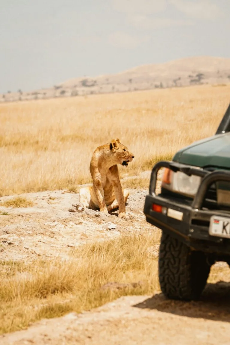 Read more about the article Kenya’s National Parks: Ultimate Wildlife & Adventure Guide