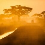 Read more about the article THE 10 BEST Hidden Gems in Kenya (2025)