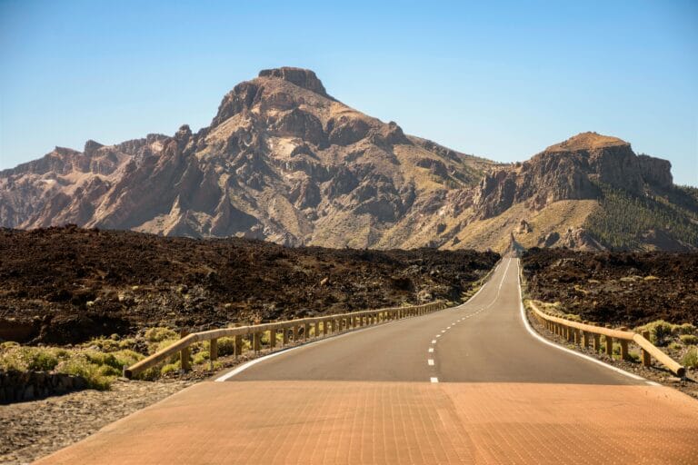 Read more about the article Best Times to Visit Kenya: A Complete Guide for Every Season