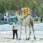 Read more about the article Pirates Beach in Mombasa: Your Ultimate Guide to Coastal Fun