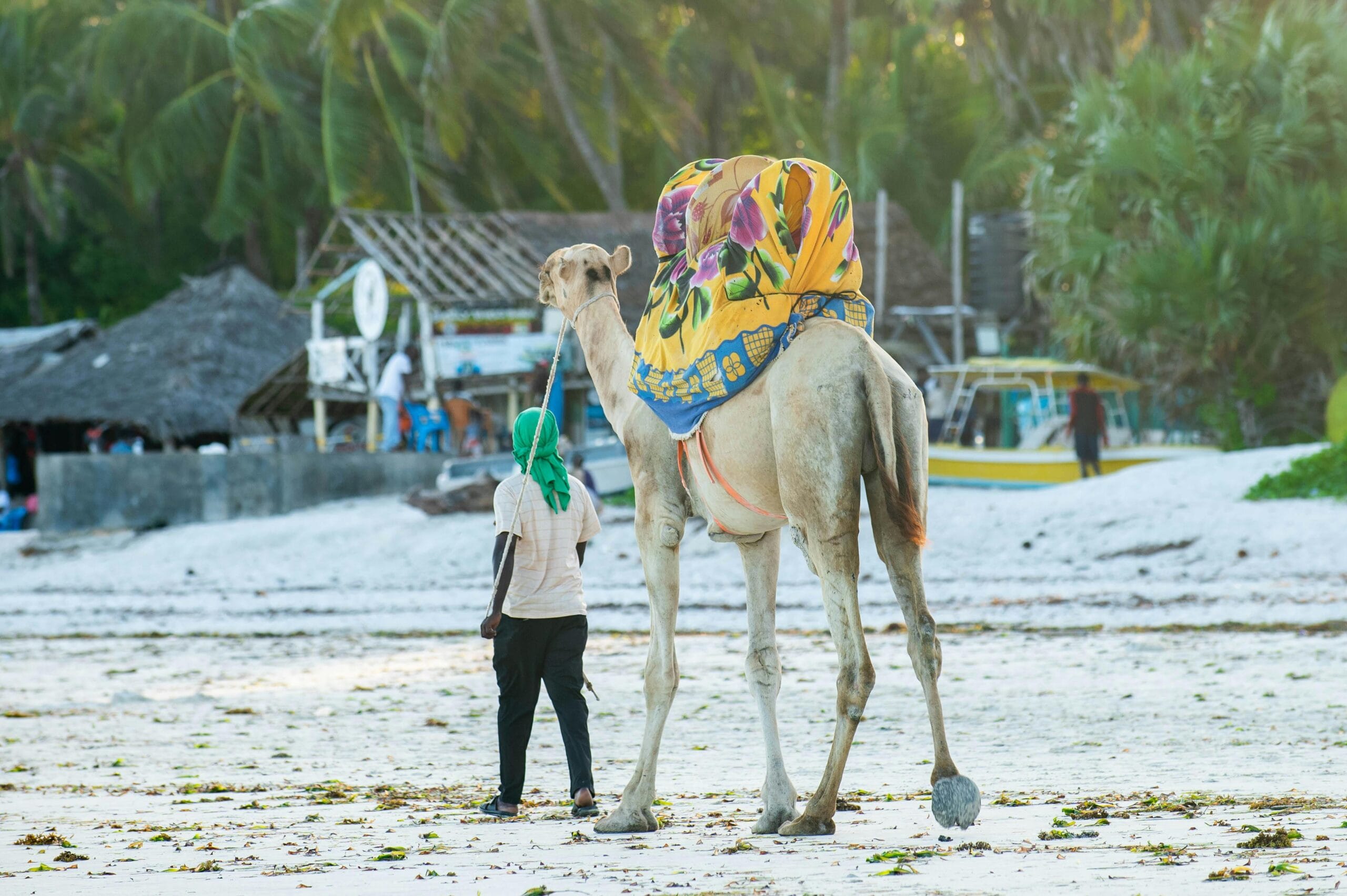 You are currently viewing Pirates Beach in Mombasa: Your Ultimate Guide to Coastal Fun