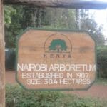 Read more about the article Nairobi Arboretum: Nature’s Refuge in the City