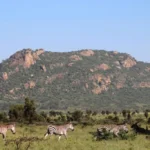 Read more about the article Lukenya Hills in Athi River: Rock Climbing and Camping