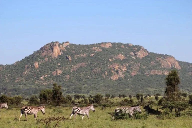 Read more about the article Lukenya Hills in Athi River: Rock Climbing and Camping