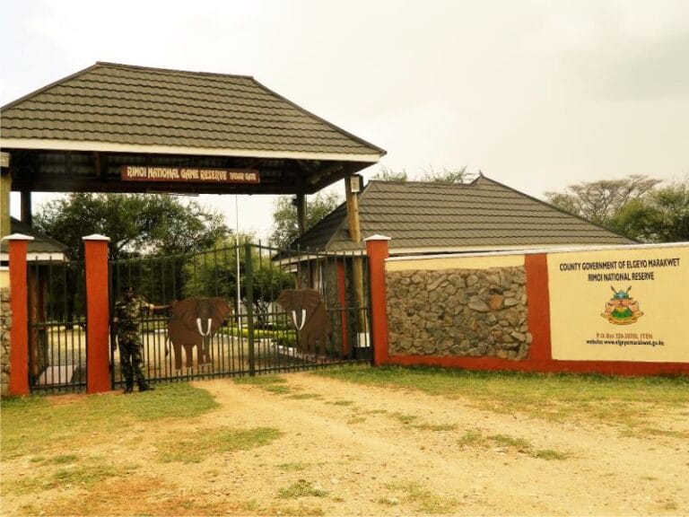 Read more about the article Rimoi National Reserve: Kenya’s Untamed Elephant Paradise