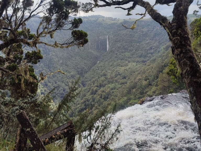 Read more about the article Karuru Falls: Kenya’s Tallest Waterfall in the Aberdares