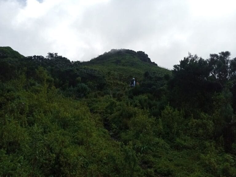 Read more about the article Rurimeria Trail: Conquering the Aberdare Highlands