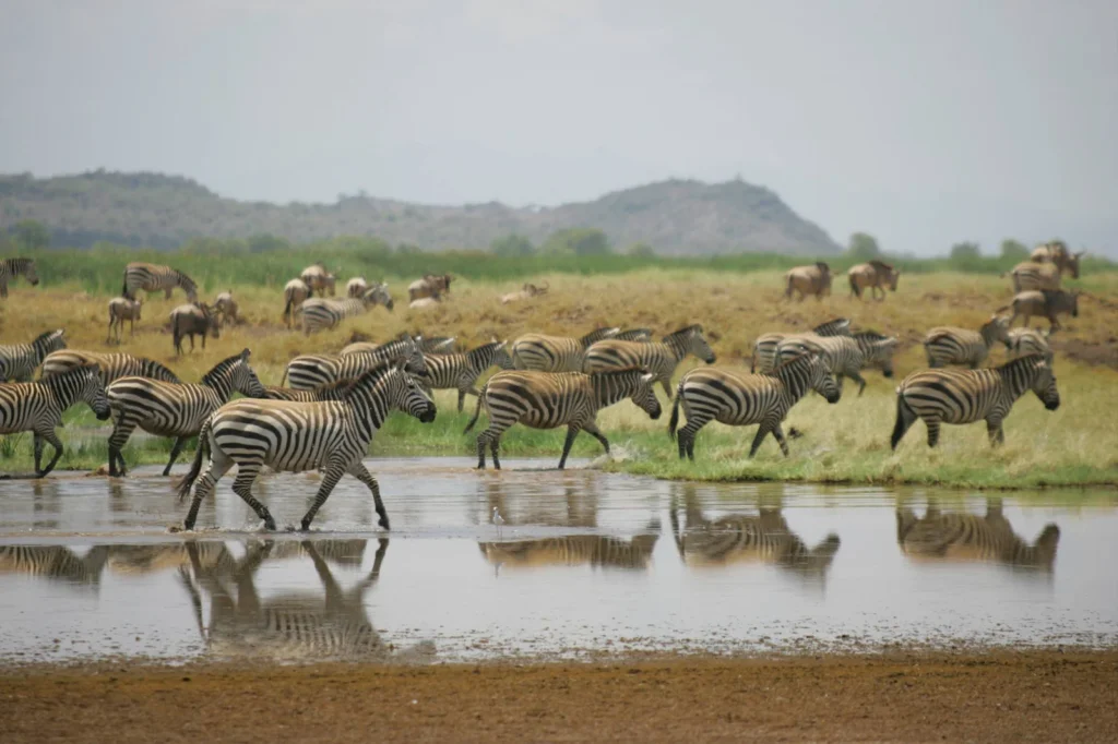 Shompole Conservancy