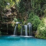 Read more about the article Ngare Ndare Forest: Kenya’s Magical Canopy Walk and Waterfalls