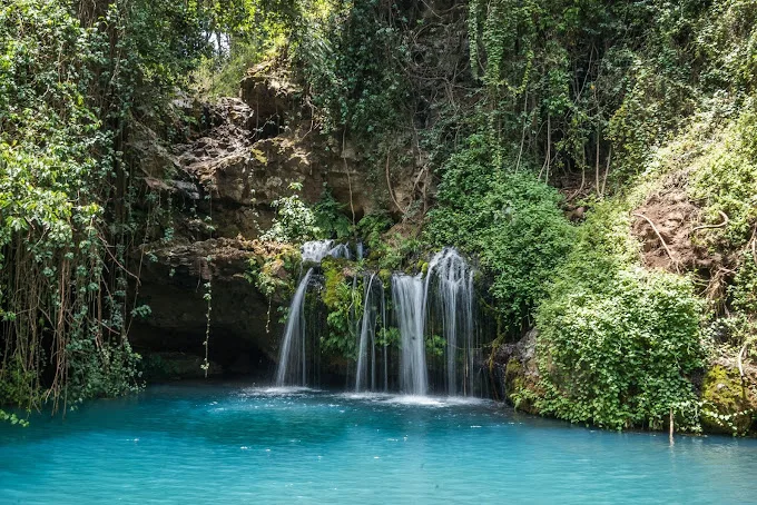 You are currently viewing Ngare Ndare Forest: Kenya’s Magical Canopy Walk and Waterfalls
