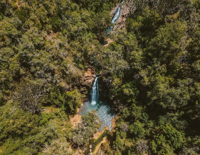 Ngare Ndare Forest