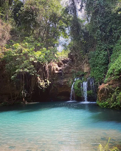 Ngare Ndare Forest