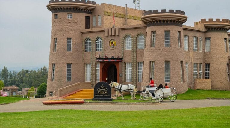 Read more about the article Tafaria Castle: A Medieval Experience in Nyeri