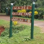 Read more about the article Wajee Nature Park in Mukurwe-ini: Birding Paradise in Nyeri