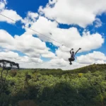 Read more about the article Kereita Forest: Zipline Adventures Near Limuru