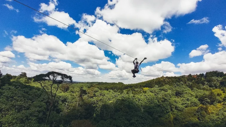 Read more about the article Kereita Forest: Zipline Adventures Near Limuru