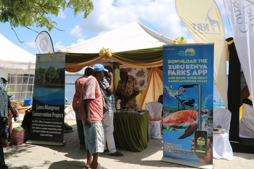 Maulidi Festival 