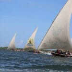 Read more about the article Maulidi Festival: A Blend of Faith, Culture, and Swahili Heritage